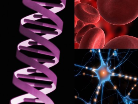 Biologia e Biochimica per studenti universitari